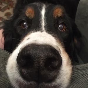 Meet your Posher, Kelly